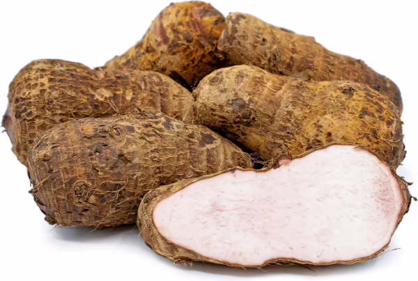Malanga Xantosoma (La Ceiba) paquete de 3 Kg (MYLC)