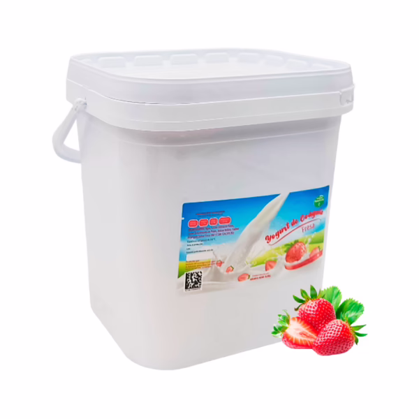 Yogurt Probiótico de Coagulo Fresa (Rhd) 4L